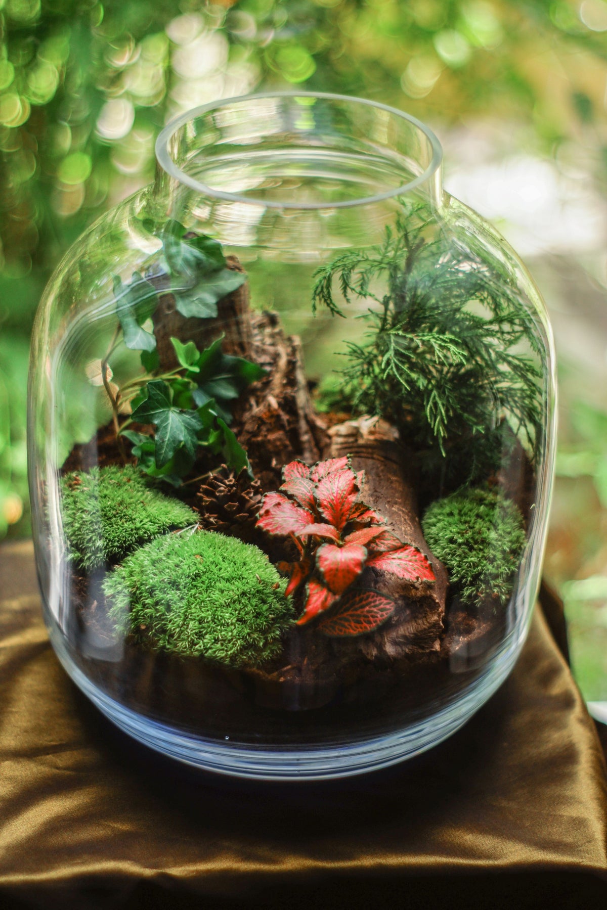 Glass terrarium jar with moss, ferns, and a red-leafed plant growing around a piece of driftwood